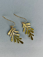 Alga Earrings